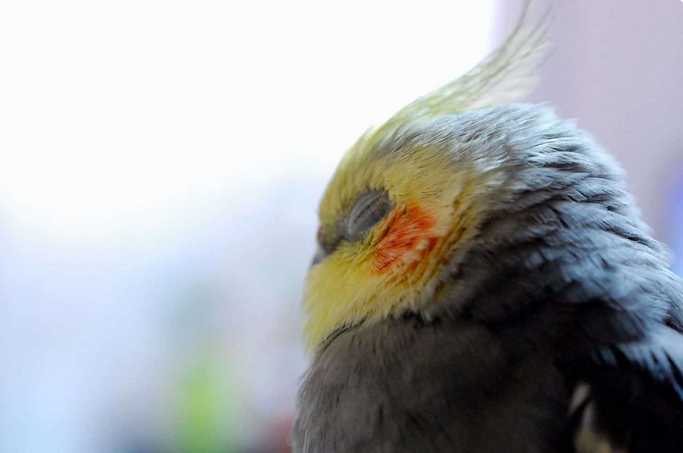 Screenshot 2025-09-22 200333